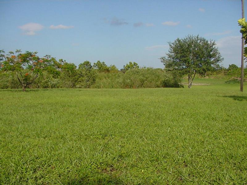 SENAI FOR SALE @ AGRICULTURAL LAND